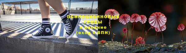 прущие грибы Горнозаводск