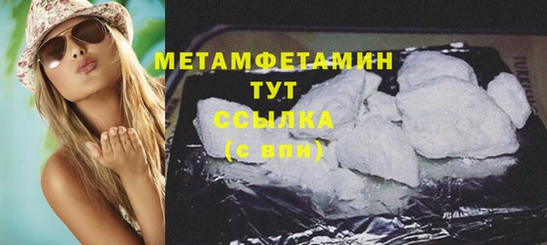прущие грибы Горнозаводск