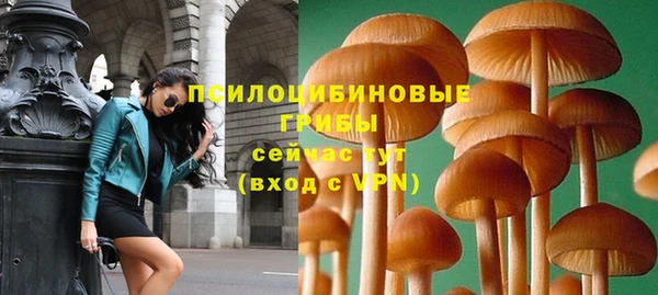 a pvp Горняк