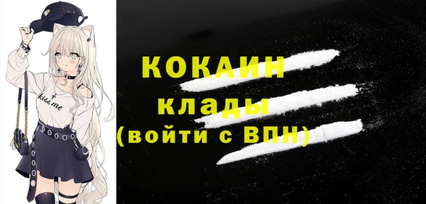 прущие грибы Горнозаводск