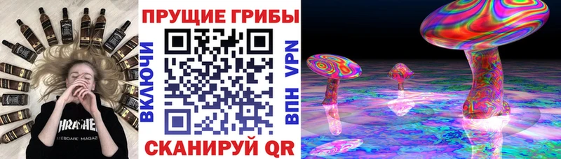 Псилоцибиновые грибы мухоморы  Купить закладки  Кстово 